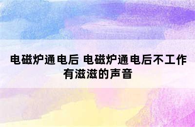 电磁炉通电后 电磁炉通电后不工作有滋滋的声音